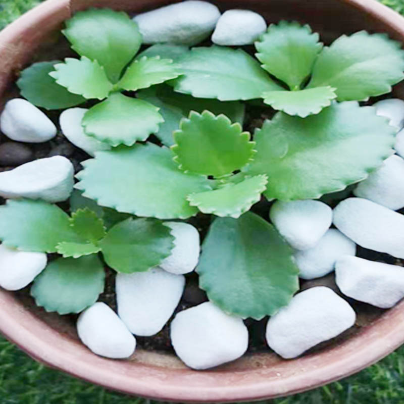 10-20����&nbsp;���w���@ˇ����r